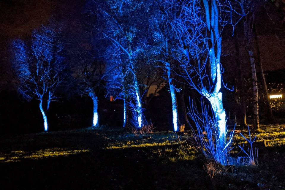 Tree lights