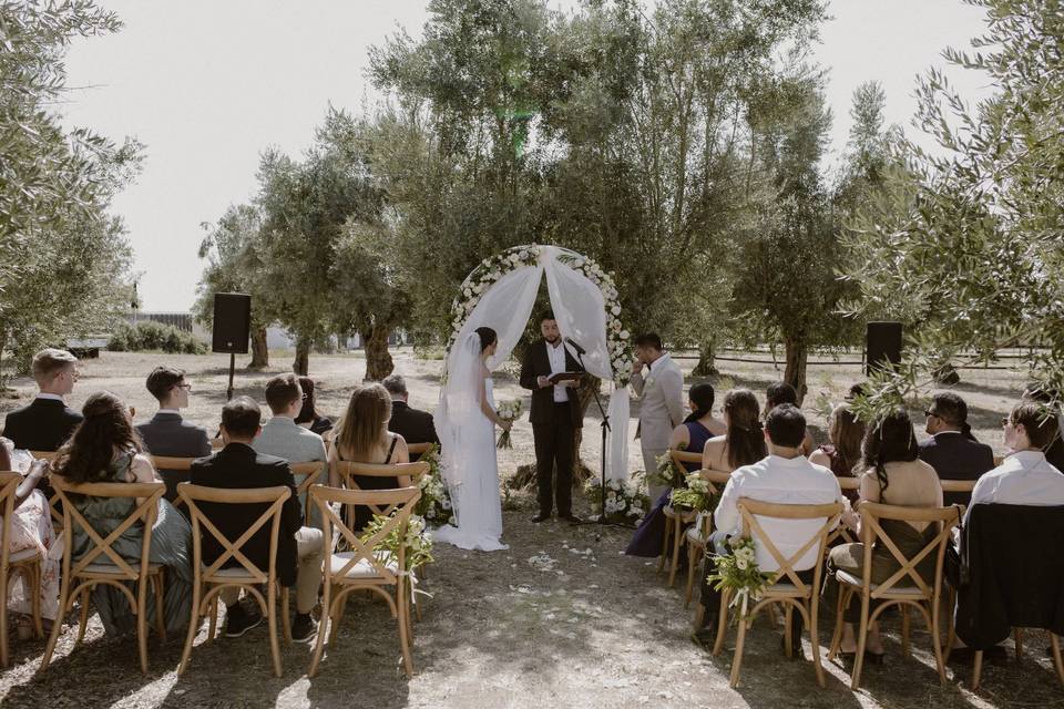 Vineyard small wedding