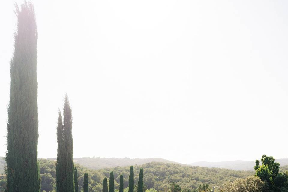 Vineyard wedding villa