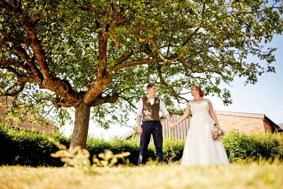 Apple Tree - Kent Life