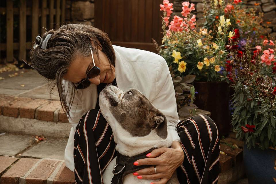 Bull dog mum who loves pets at