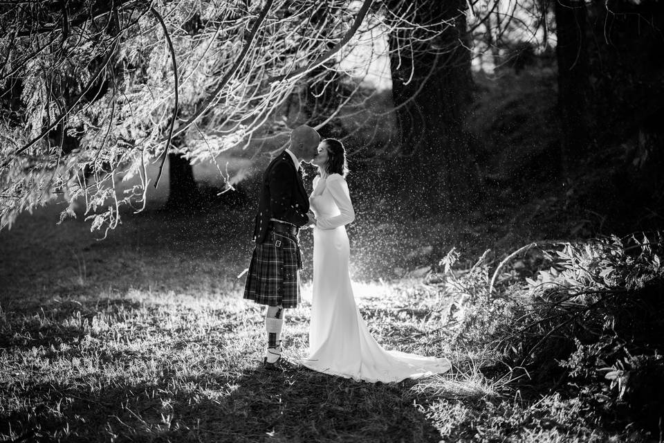 In the Grounds