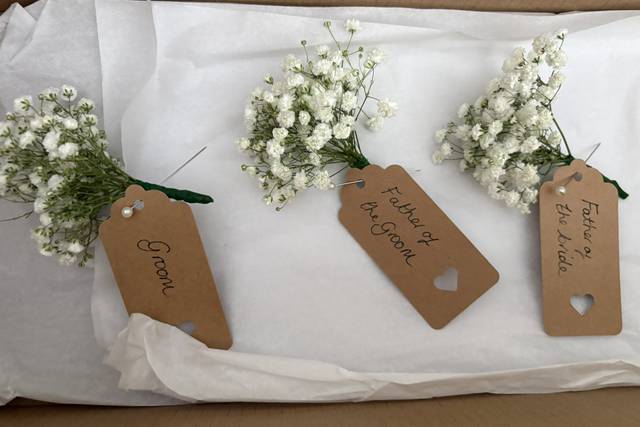 Gypsophila Buttonholes