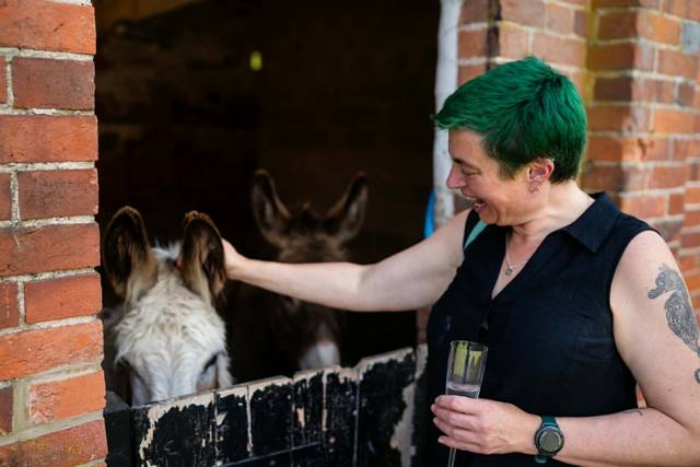 Donkey visitors!
