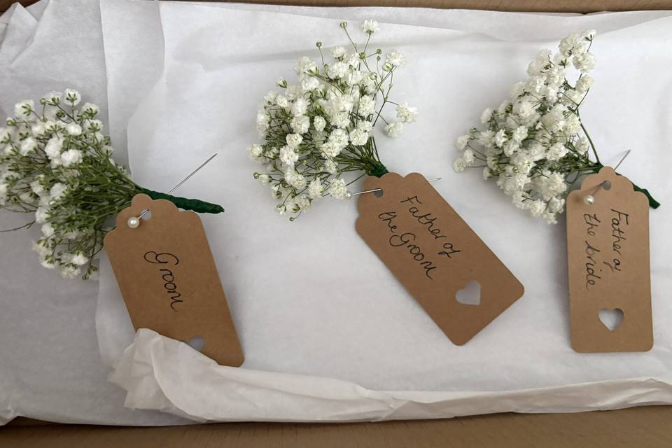 Gypsophila Buttonholes