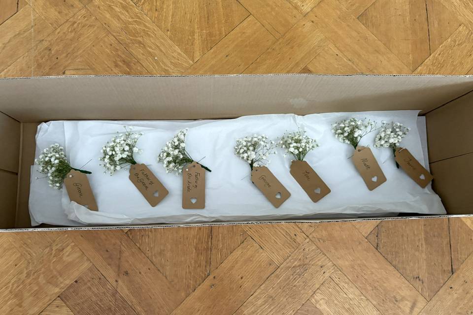 Gypsophila Buttonhole