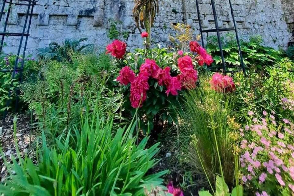 Stone wall surrounded by flowers