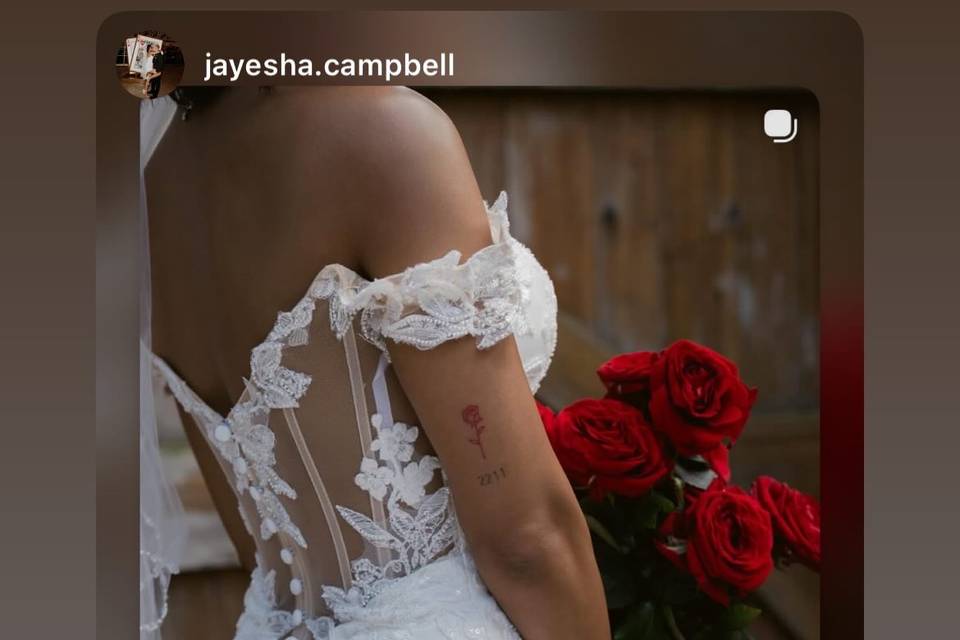 The Elegant Red Rose