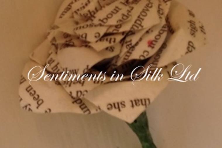 Sentiments in Silk Ltd