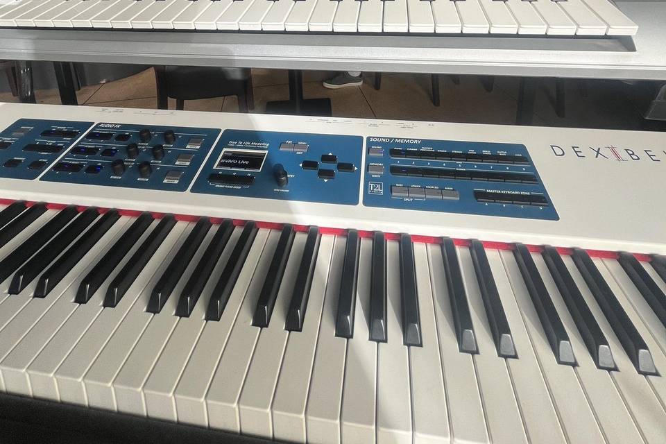 Professional Piano Performance