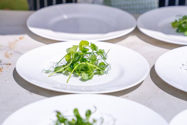 Chef plating