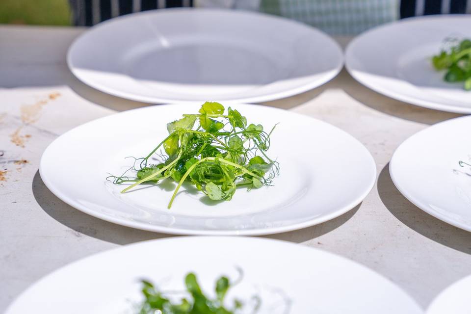 Chef plating