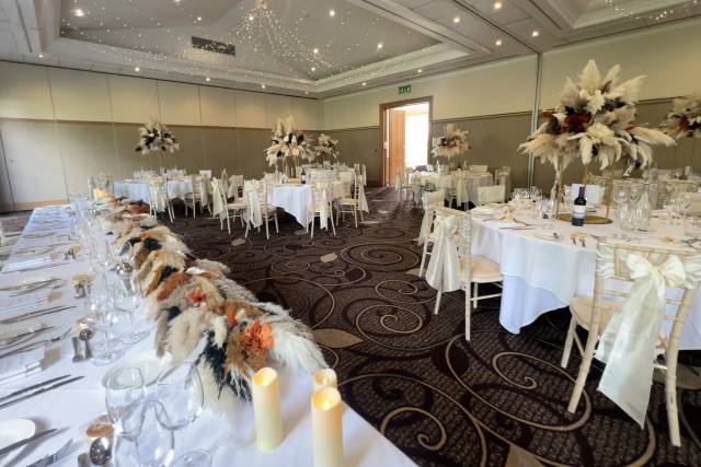 All about The pampas!
