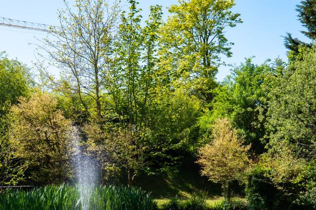 Our Beautiful Grounds