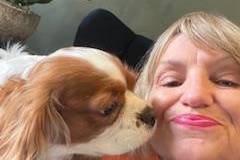 Love a dog at a wedding