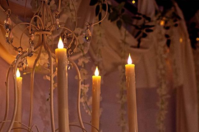 Elegant Decor