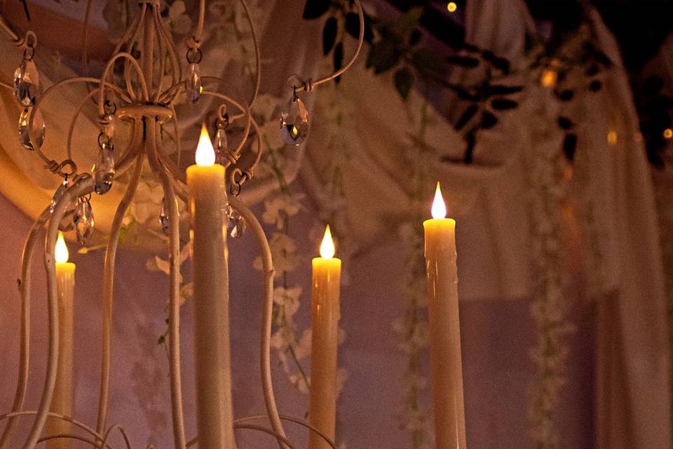 Elegant Decor