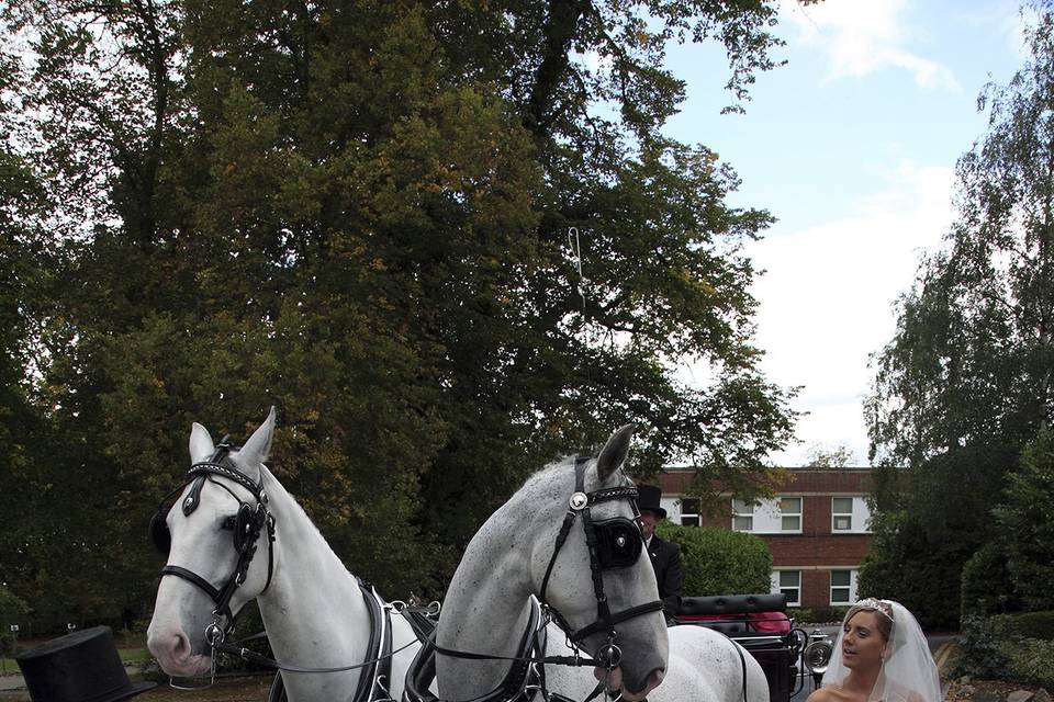 Your carriage awaits