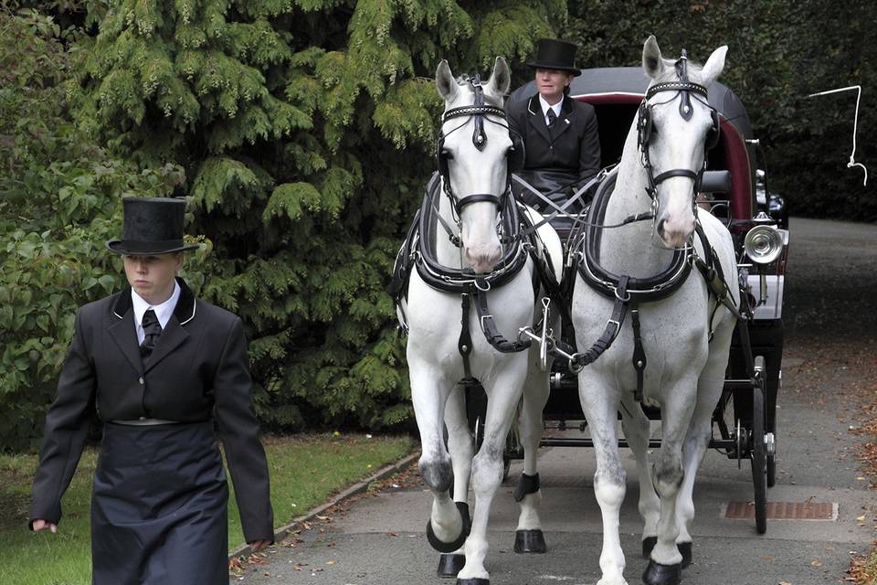 Horse and carriage