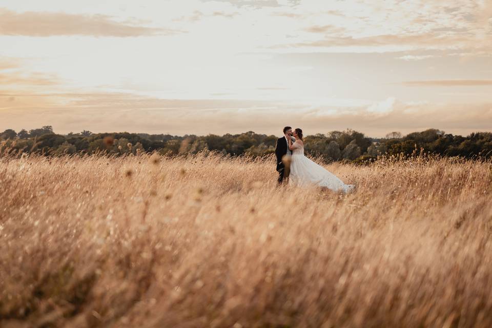 In the meadow