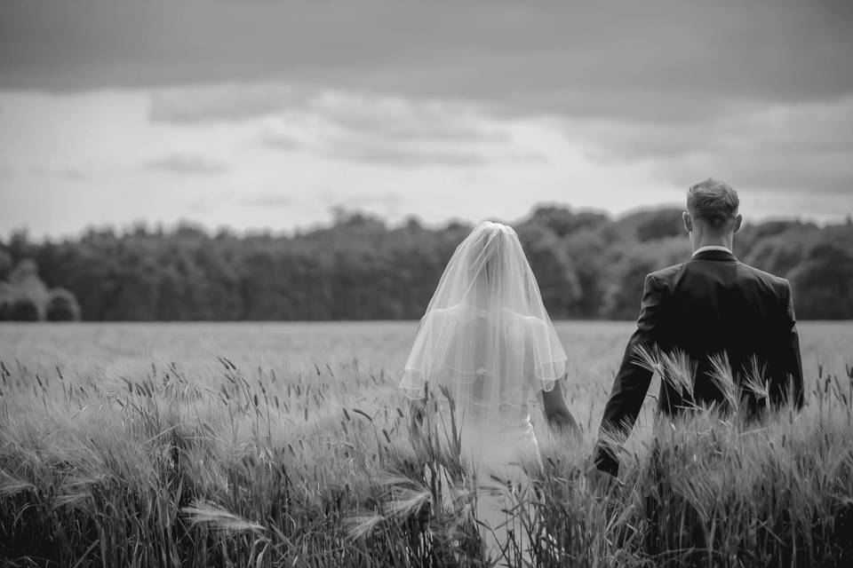 Through the fields