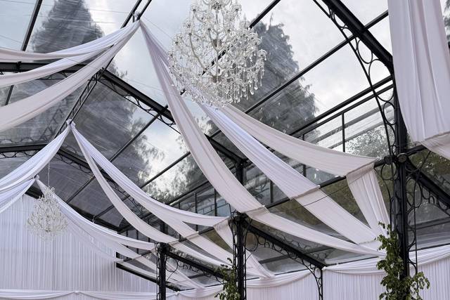 Reception Set up