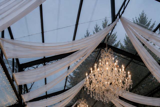 Evening Reception