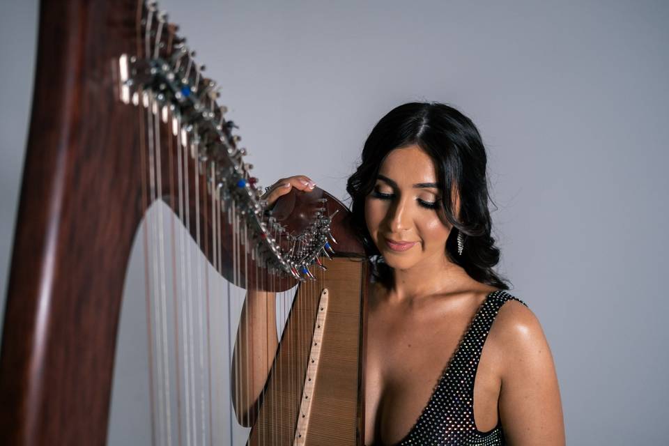 Wedding Harpist