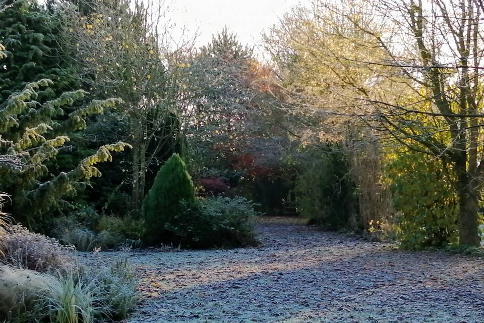 Autumn in the garden