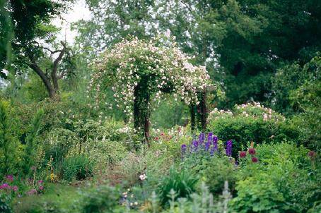 Rose Garden