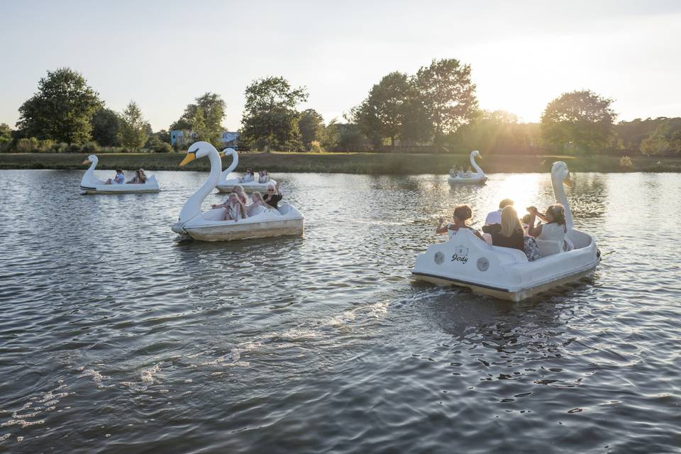 Swan boats