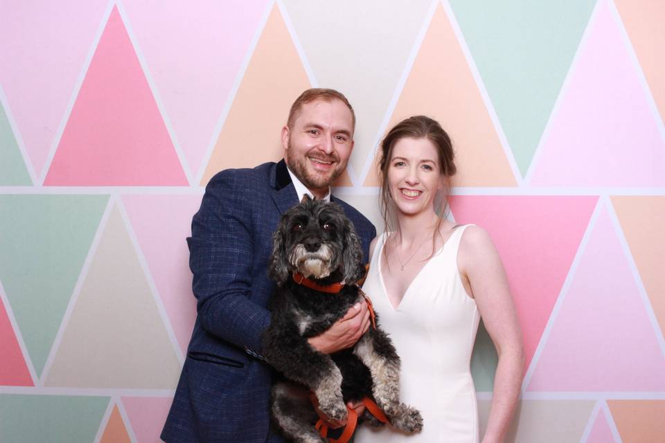 Furry Wedding Guests