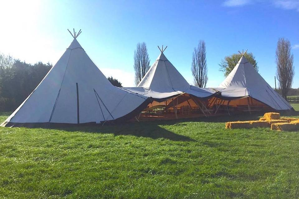 The tipis