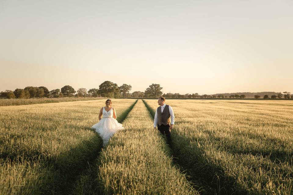 Summer evening fields