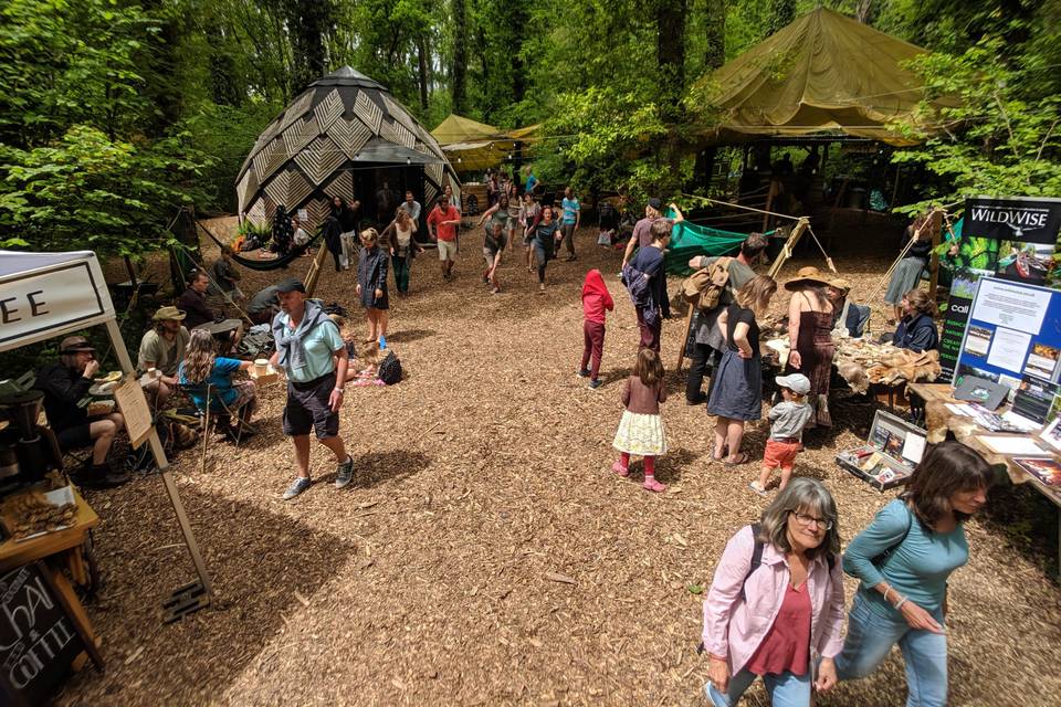 Whole site