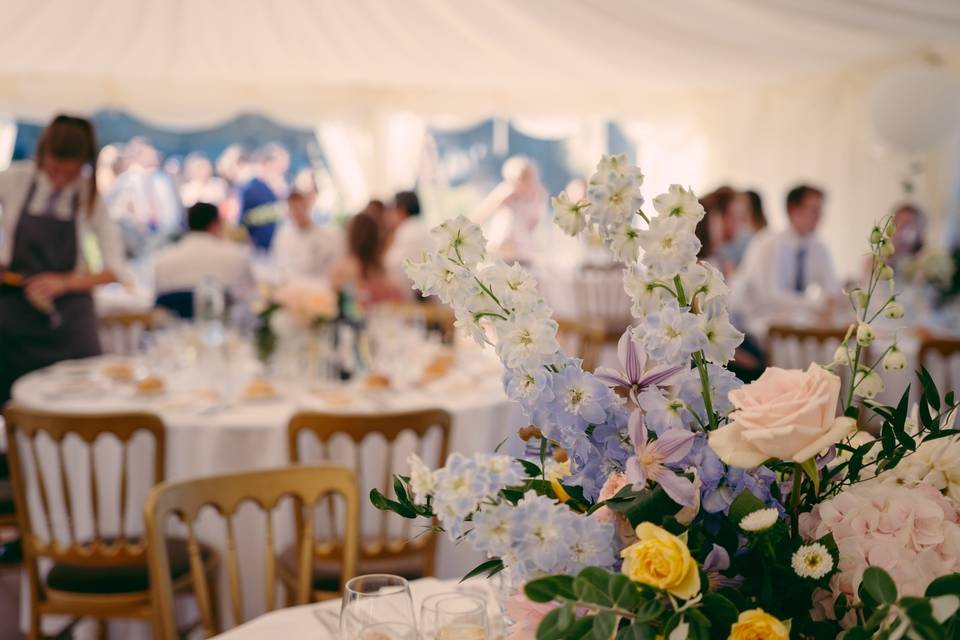 Marquee in grounds