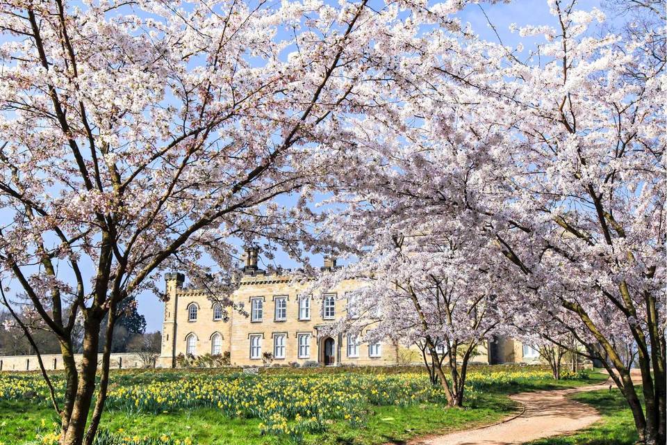 Chiddingstone Castle