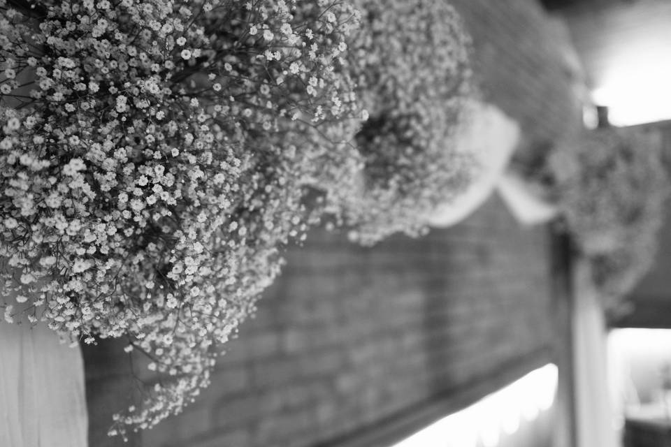 Gypsophila arch