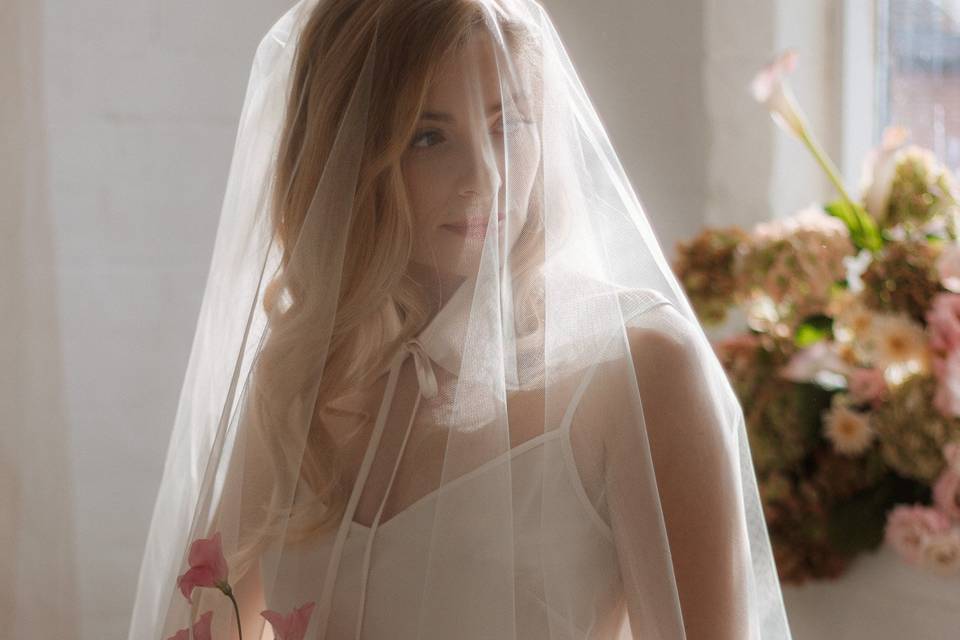 Veil catching the light