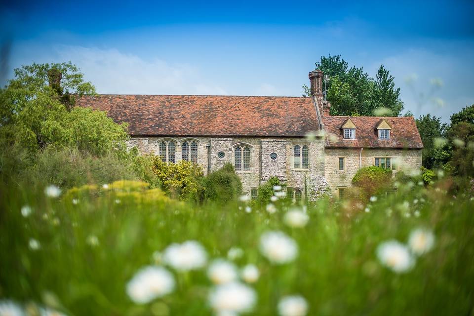 Lush meadows