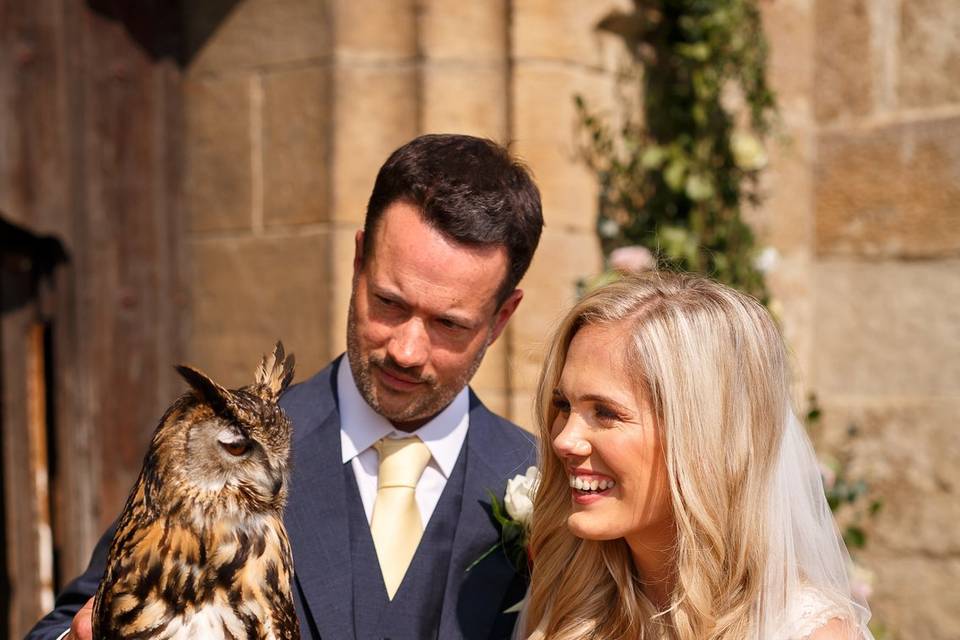 Falconry on your wedding day