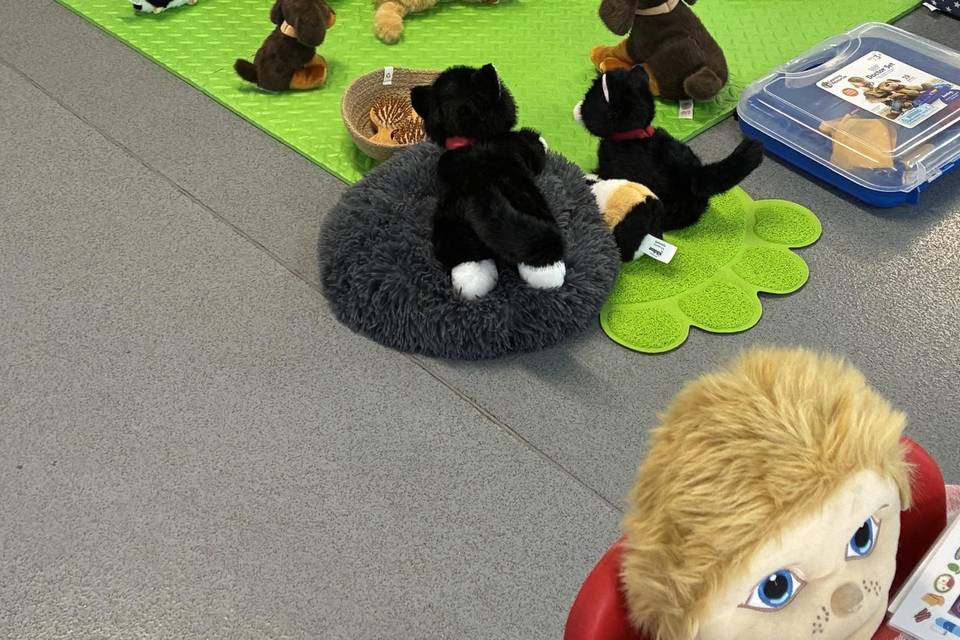 Vets