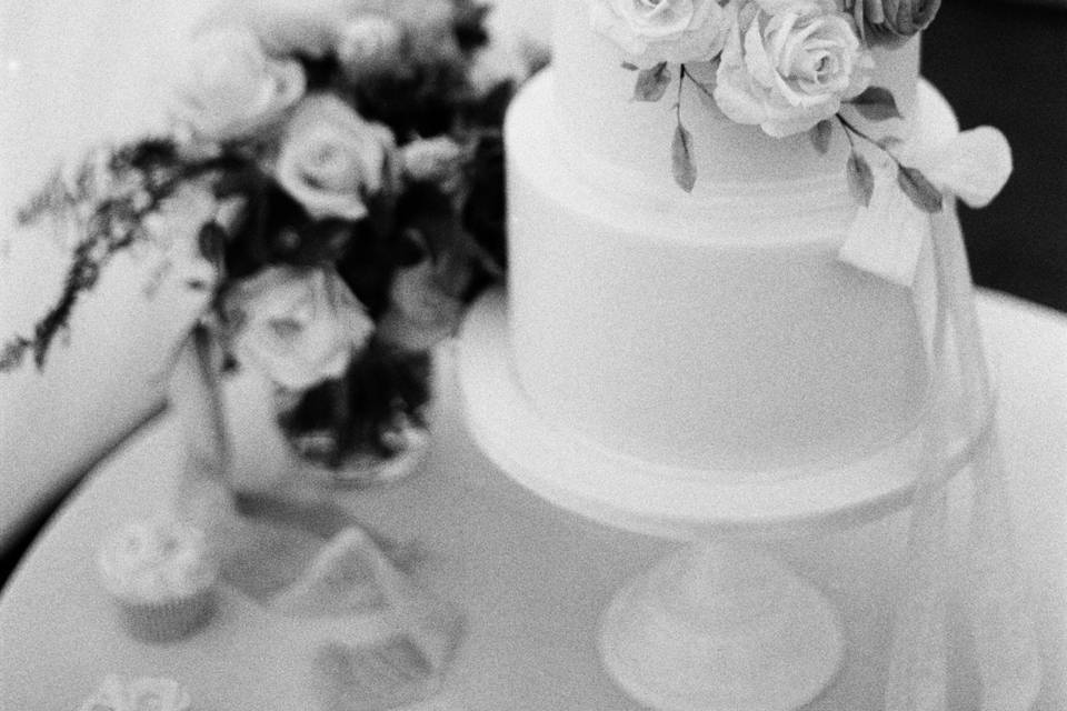 Beautiful cake (film photo)