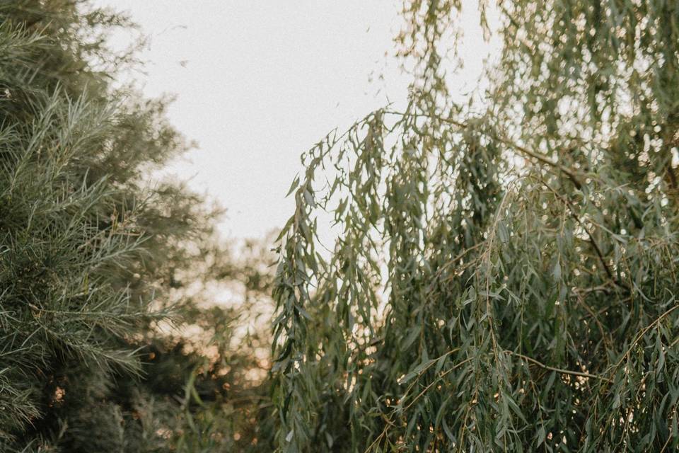 Catherine & Josh, Cotswolds