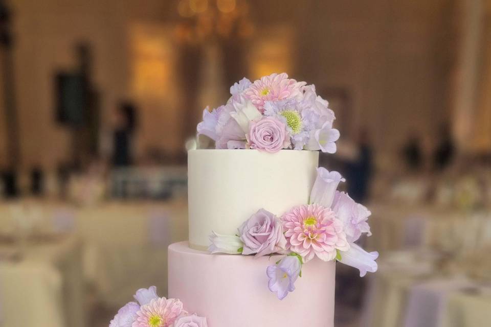 Ombre coloured wedding cake