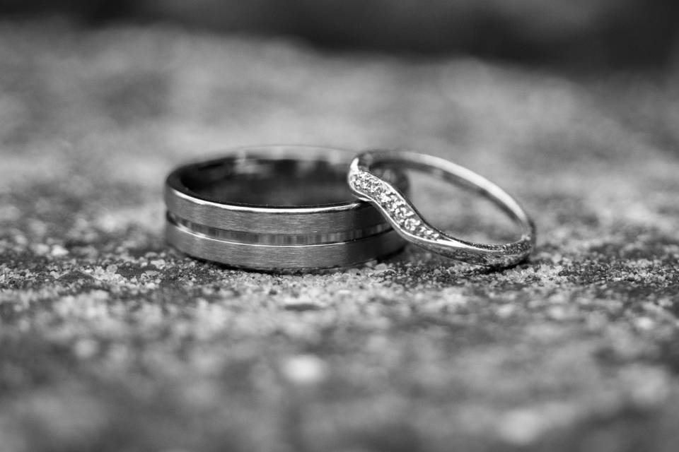Holly & Scott's Wedding