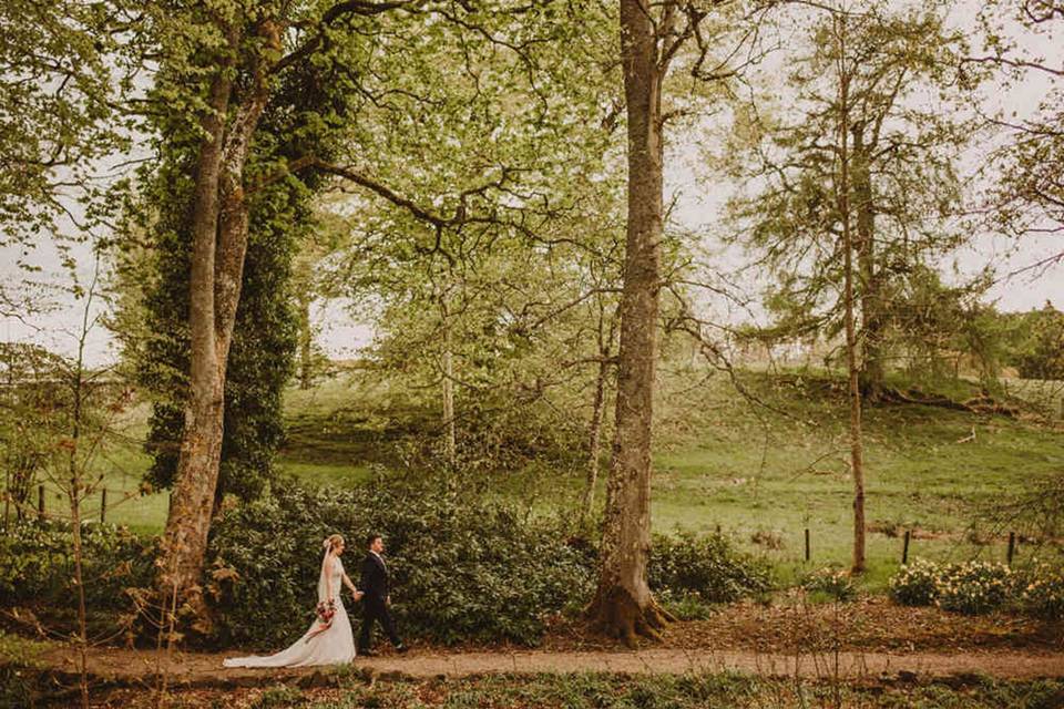 In the grounds