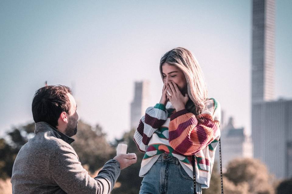 Surprise proposal in NYC