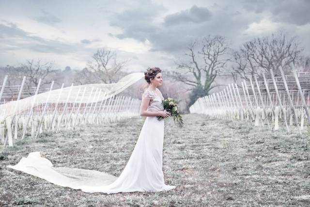 Winter Weddings