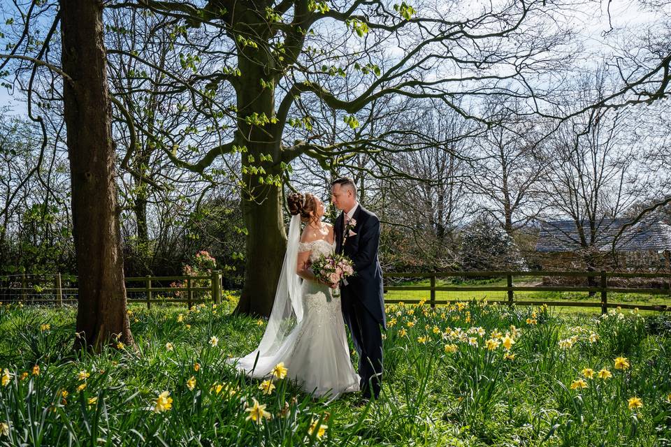 Spring wedding in the woodland